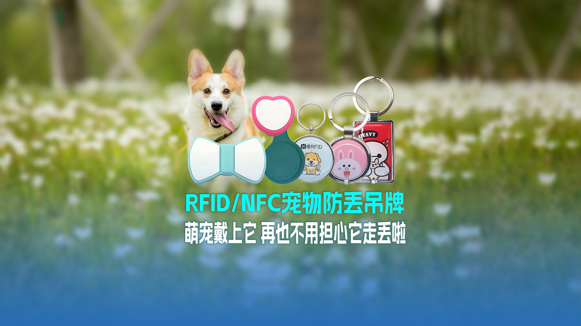 88858cc永利集团RFID宠物防丢吊牌：萌宠戴上它 再也不必担心它走丢啦