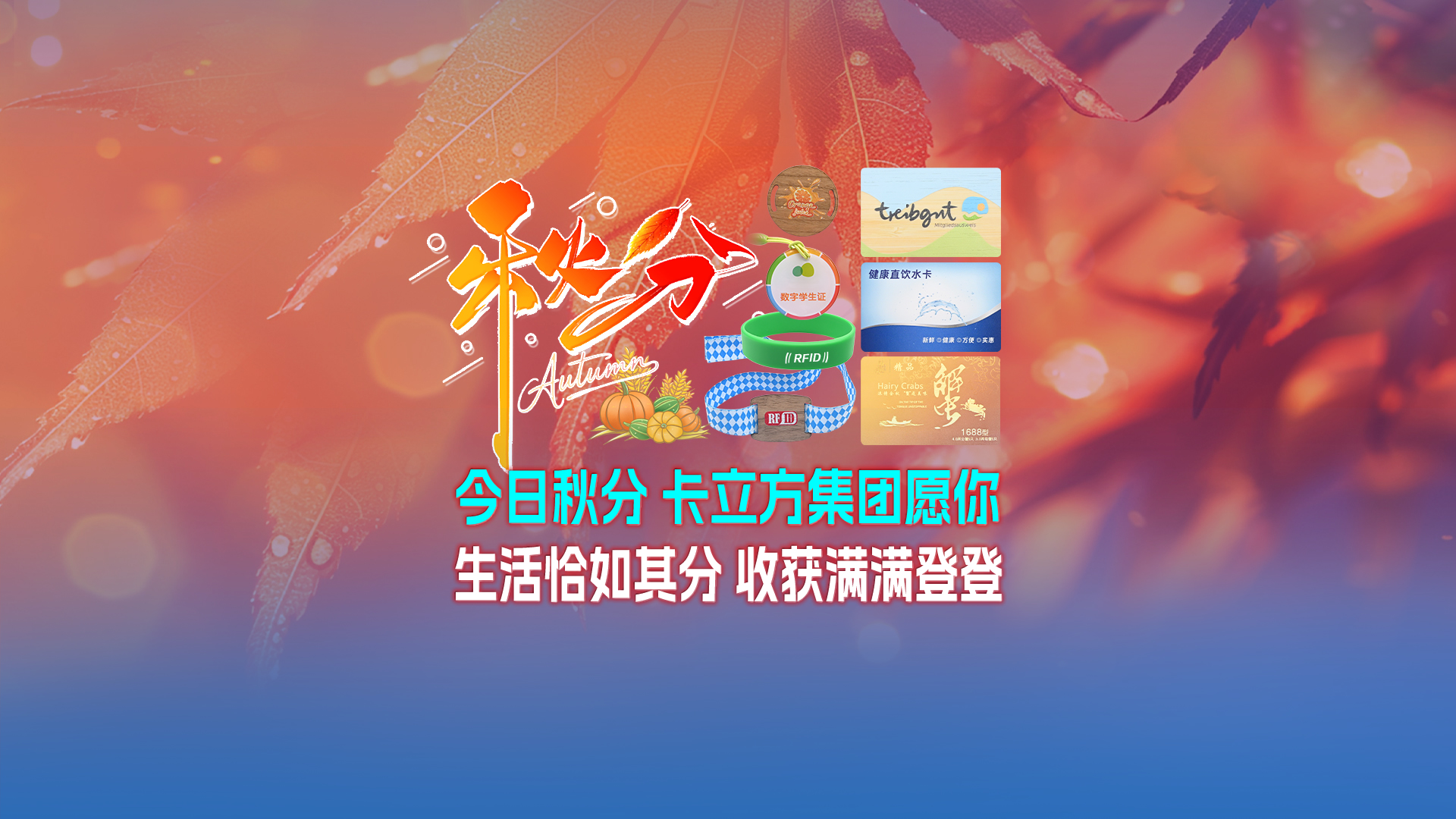 横版视频封面-确认版t秋分